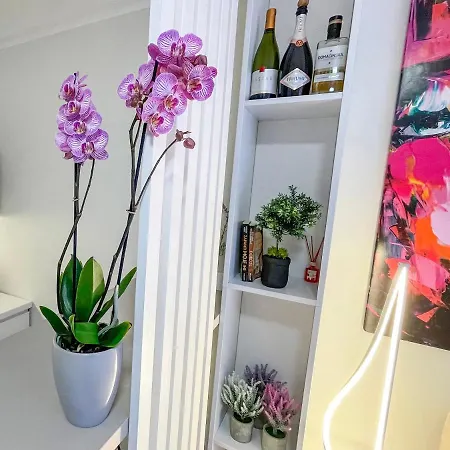 Skadarlija Colorway Belgrade